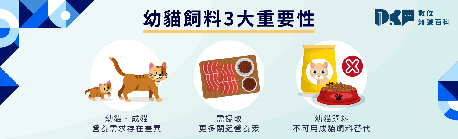 幼貓一定要吃幼貓飼料嗎？營養師解析 3 大關鍵