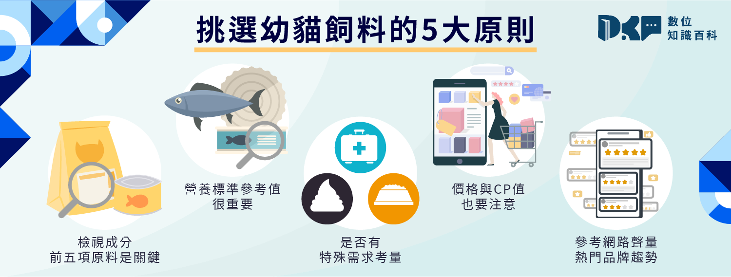 幼貓飼料怎麼挑？5 大選購原則一次看懂