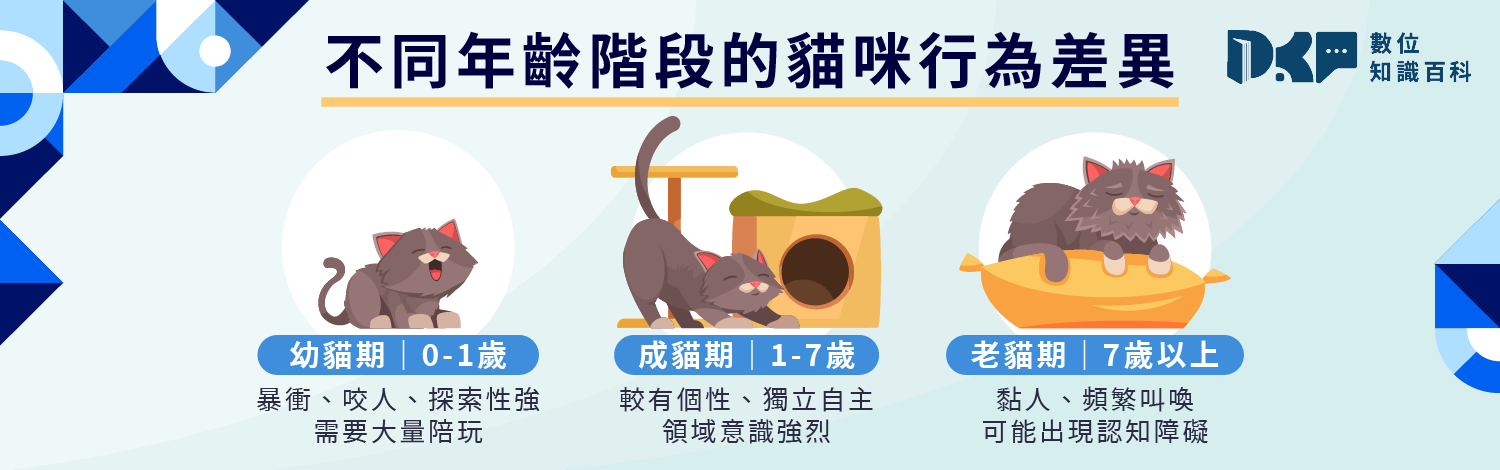 不同年齡階段的貓咪行為差異：幼貓 vs. 成貓 vs. 老貓
