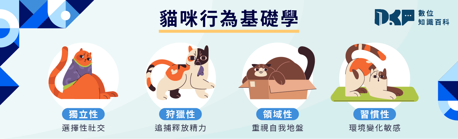貓咪行為學基礎：貓的本能、習性與社交需求
