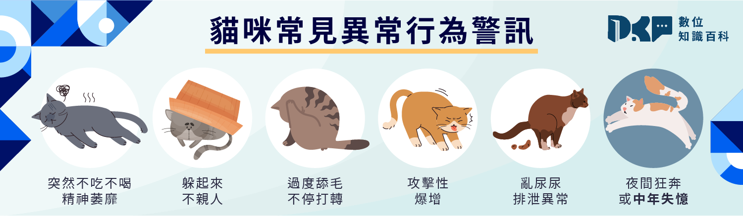 貓咪行為異常怎麼判斷？是壓力、疾病還是本性？