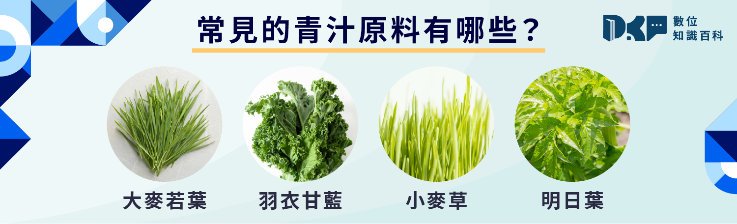 什麼是青汁？成分與起源簡介