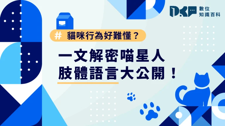 貓咪行為好難懂？一文解密喵星人：肢體語言大公開！
